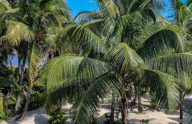 North Beach Retreat - Photo 39