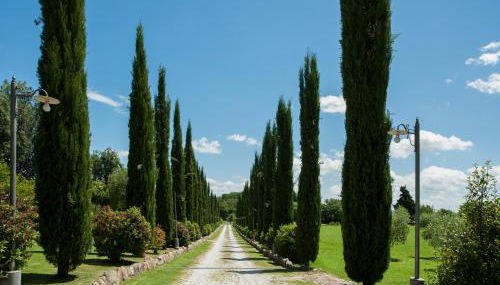 Casa Viale dei Cipressi - Foto 3, Garden, Garden view
