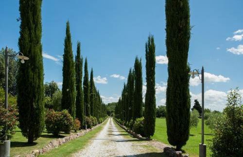 Casa Viale dei Cipressi - Foto 3