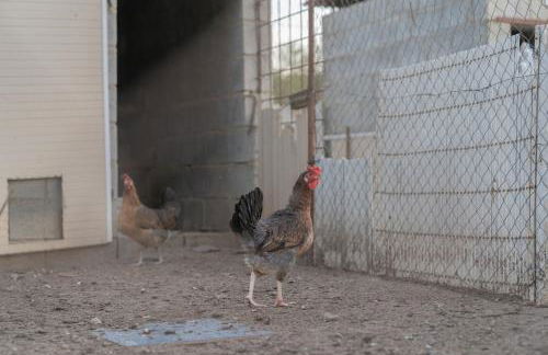 Alojamiento Rural junto a Vía Verde Olvera - Foto 41