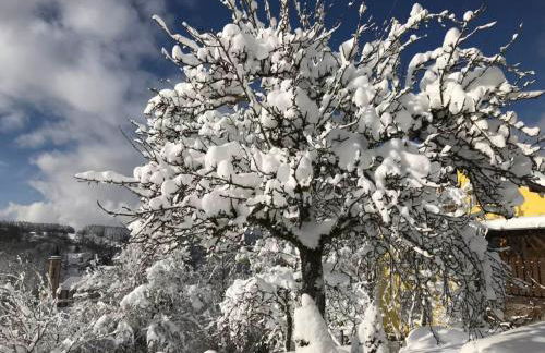 2 Zi Ferienwohnung mit schöner Aussicht und mit Balkon bis zu 5 Personen in Loßburg, Schwarzwald - Foto 20