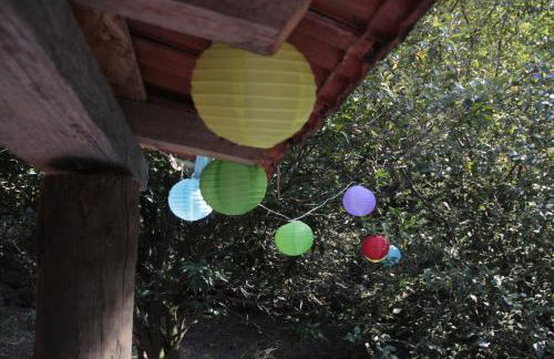 Bosque dos Amieiros - Foto 45