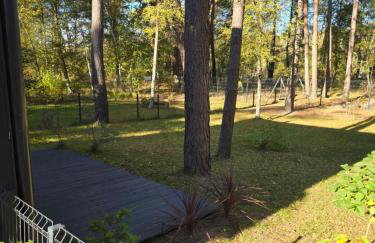 Daglezji 170 - Foto 3