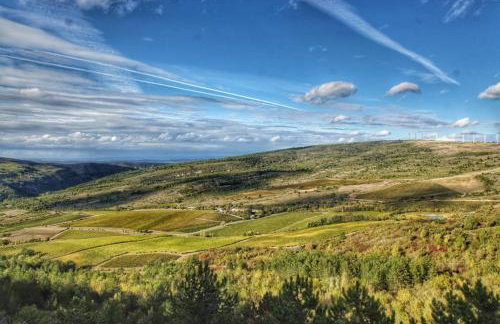 Domaine - Vignoble - Jacuzzi - Sauna - 14 à 18 pers - Foto 27