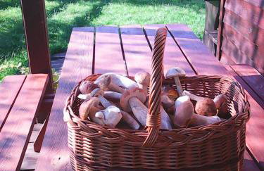 Domek Rokitki - Foto 35