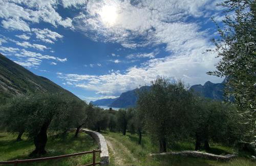 GARDA BALDO APARTMENTS - Photo 48