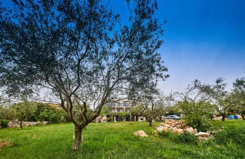 Apartment Sandro - Foto 36