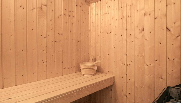 5 Star Holiday Home in Vinderup - Foto 2, Sauna