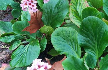 Casinha do Chico - Foto 42