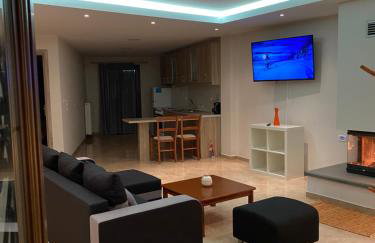 Αρτέμιδα plus Karpenisi Apartment - Foto 6