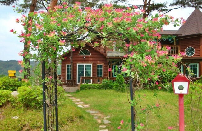 Castel on the hill pension - Photo 23