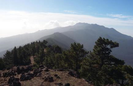 Apartamento Any - Foto 16