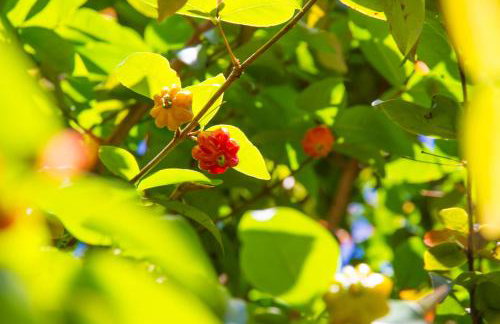 Alto do Aeroporto Hotel - Foto 33