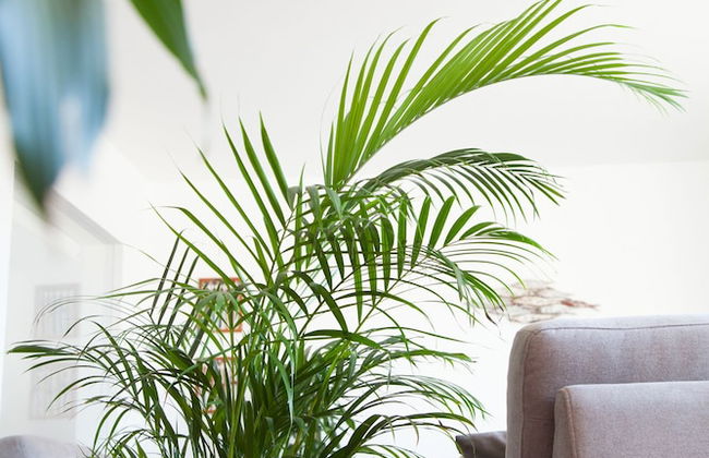 Villa Terra - Foto 26