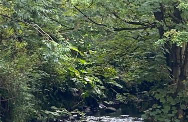 Mill River Retreat - Foto 29