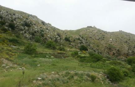 Elia Meronas - Photo 50