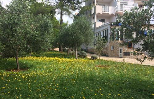 Gorgonia Apartments & Suites - Foto 52