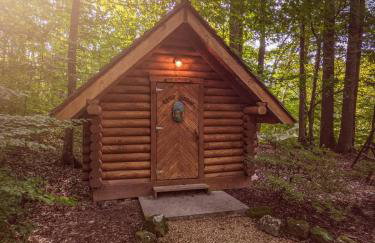 Ivy Cottage Cute Cottage Along The Ocoee River - Foto 32