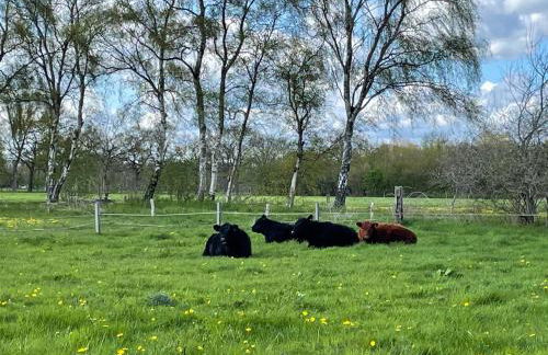 Uhlenhoff Boyken - Foto 16