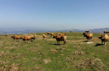 La Cabana´l Cachican - Foto 71