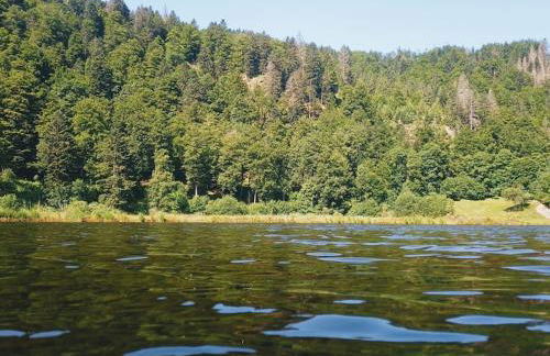 Ferienwohnung Hirschkopf - Foto 14