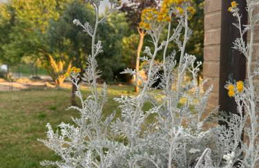 Terra dei Bisonti - Foto 10