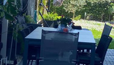 Appartamento Giardino - Foto 4, Garden, Garden view