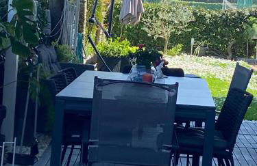 Appartamento Giardino - Foto 4