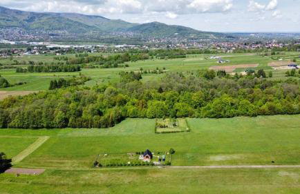 Domek na Kamieńcu - Foto 28