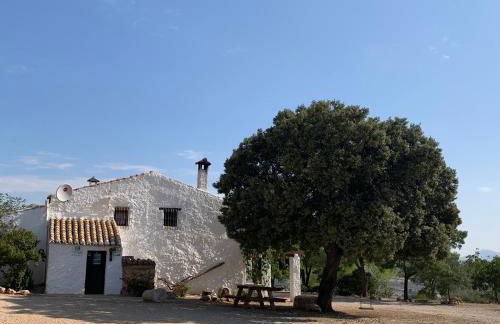 Casas Rurales Cortijo Cerro Fuentes Nuevas - Foto 25