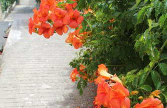 Apartment Milica - Foto 39