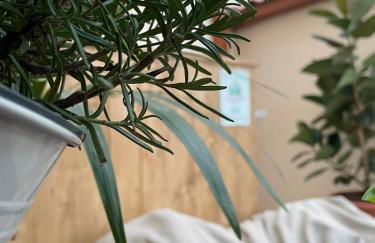 Little House Green Relax - Foto 9