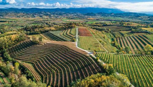 Relais Russiz Superiore - Foto 4