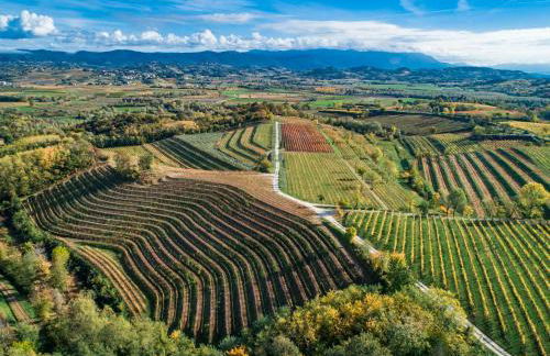 Relais Russiz Superiore - Foto 4