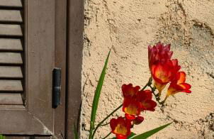 Allin home - Foto 42