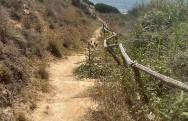 CALABRIA- CASA SUL MARE La Camilluccia - Foto 46