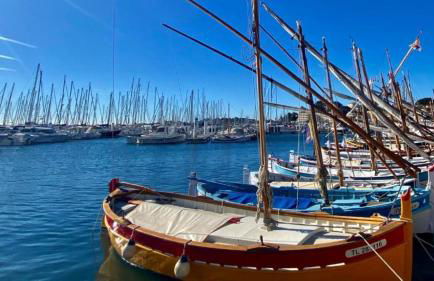 VUE MER IMPRENABLE ET PISCINE - Foto 32