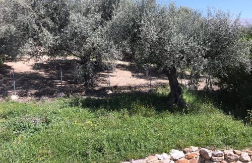 Villa Zahar - Foto 23