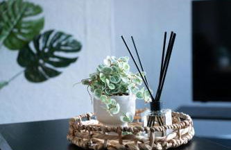 Darmeid House - Photo 16