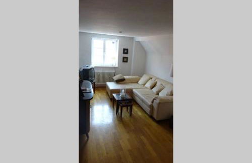 Gemütliche Altstadtwohnung in Dinkelsbühl - Foto 7