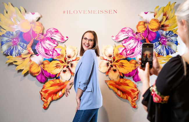 Entrada al Museo de la Porcelana de Meissen y sus talleres - Foto 8