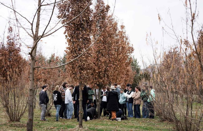 Beltana Farm - Foto 29