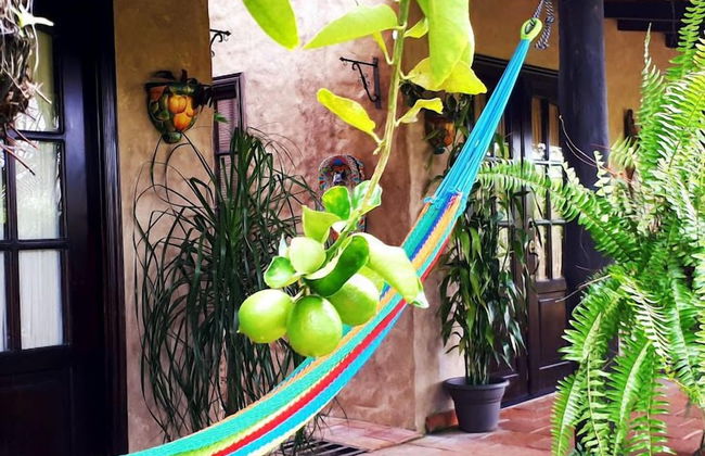 Cabañas Villa San Miguel - Photo 33