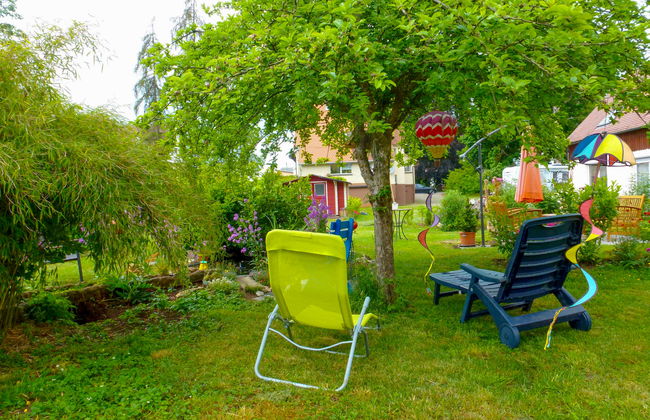 Schmetterlingsgarten - Foto 34