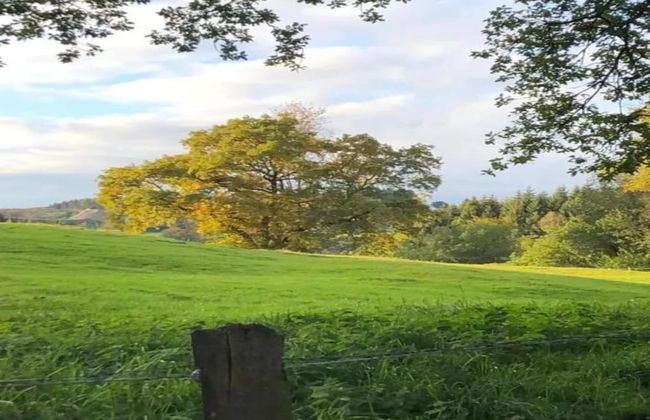 House Ardennes Blue in Theux Near Spa - Photo 31