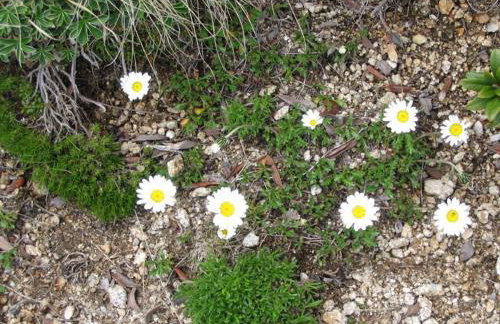 Baita Figliezzi - Foto 74