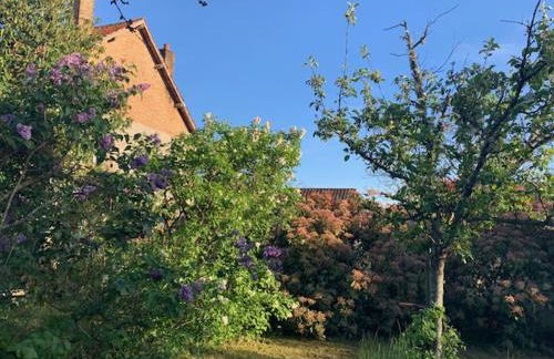 Maison 5 chambres à Lamotte, entre canal et centre équestre - Foto 39