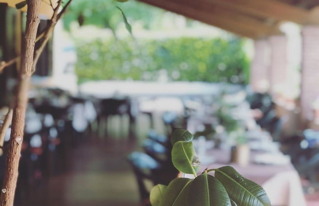 Agriturismo La Betulla - Foto 59