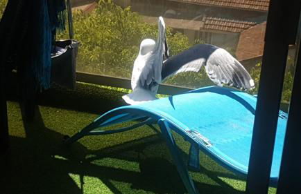 Luxurious Studio in Cannes 450m from sea with Terrace and Air Conditioning and private Parking - Foto 30