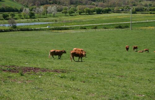 Il Poggiolo - Foto 33